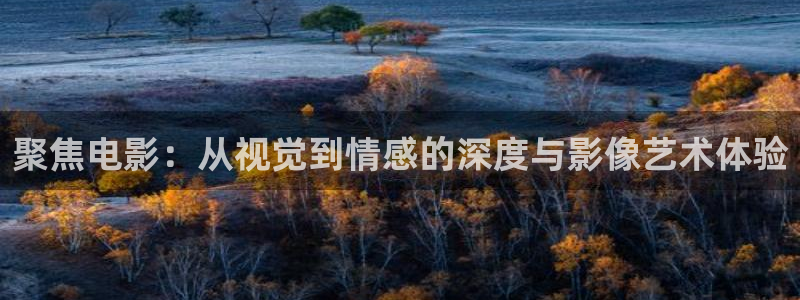 宿州星空影院影讯