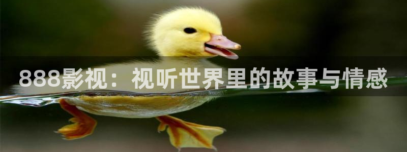 星空影院免费观看电影2023