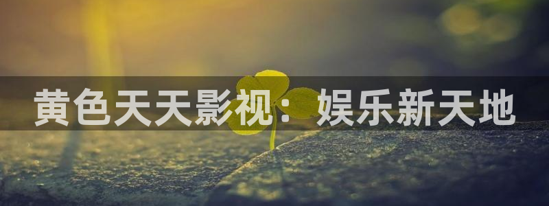 星空盒子好看电影