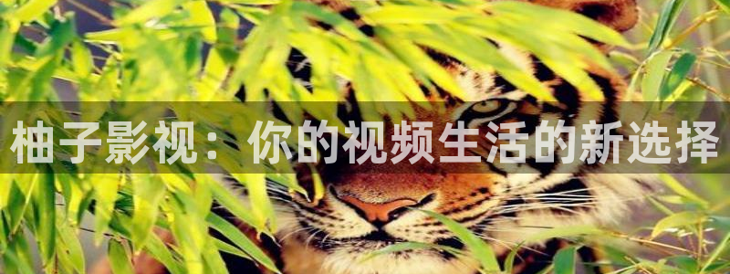 星空影院电影在线播放免费
