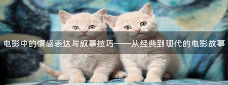 星空影院电视剧免费播放高清