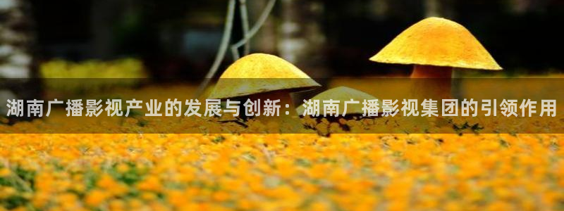 星空影视大全免费观看