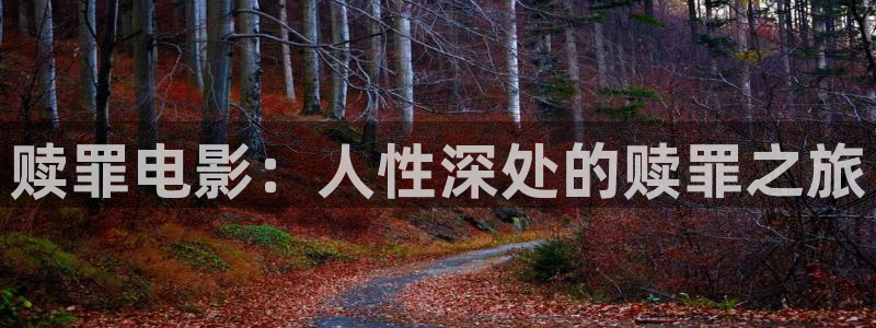 星空无限影视