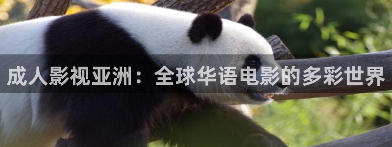 星空影院下载安装