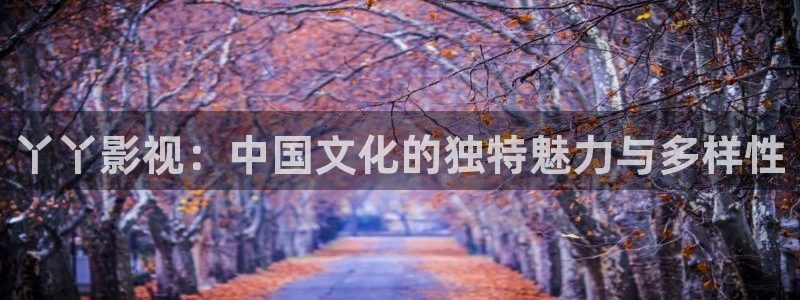 星空影院电视免费播放音乐
