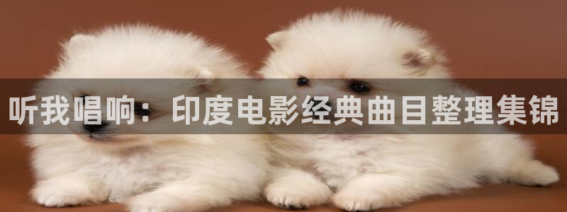 星空影视在线免费观看