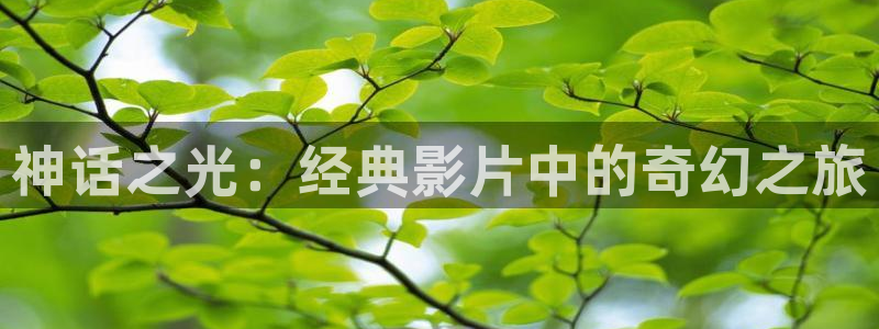 星空在线观看全集免费高清