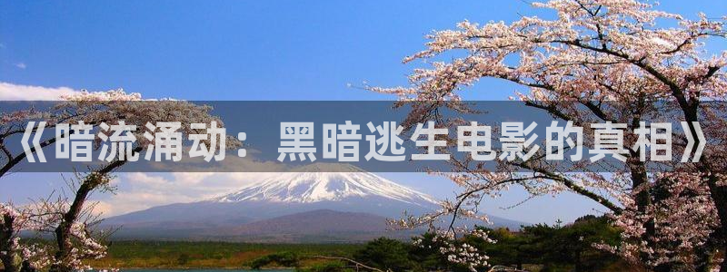星空播剧