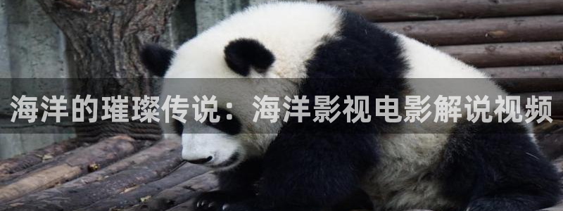 星空电影高清在线观看免费