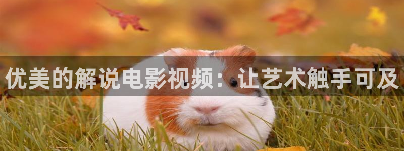 放羊的星星星空影院