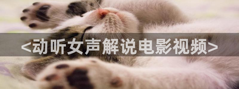 星空乌鸦天美大象糖心