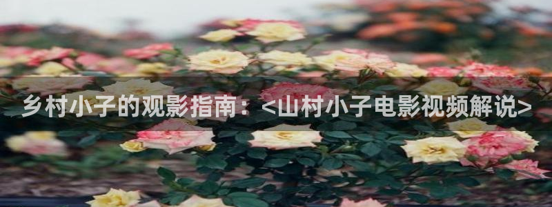 星空影院动漫在线观看