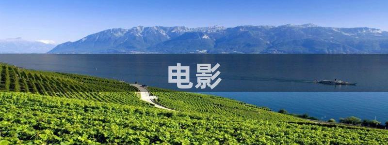 星空影视电视剧在线播放观看