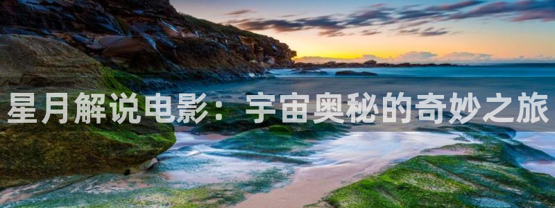 窝窝星空电影网