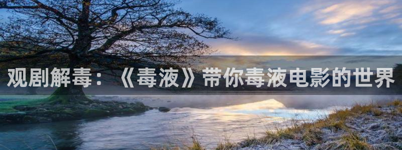 星空影视网