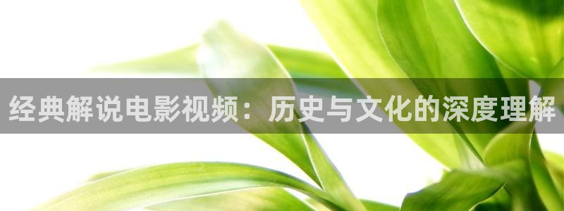 星空影视免费看