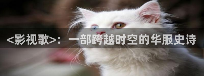 星空视频免费观看电影大全