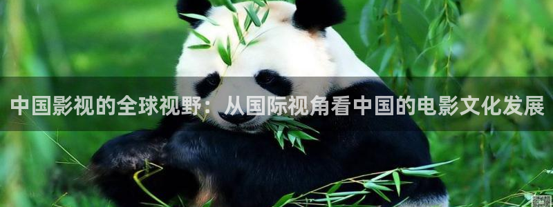 星空影院免费看电视剧