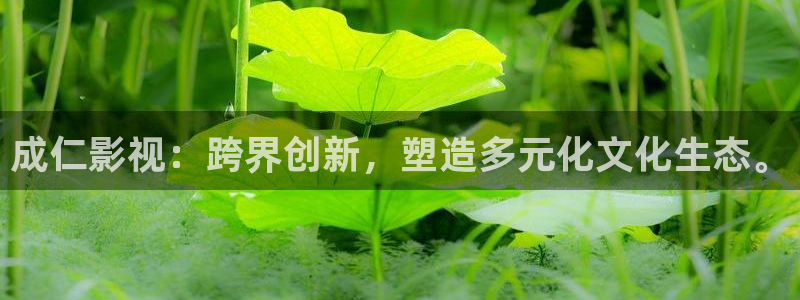 星空影院免费在线观看