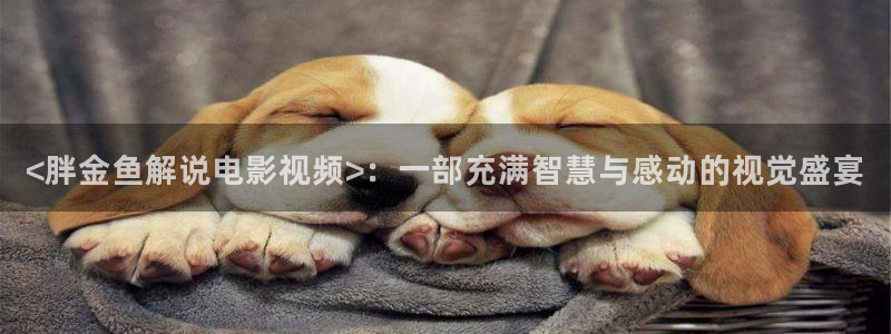 星空影视.中国