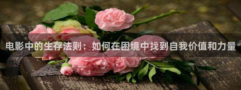 星空影院大全免费观看电视剧