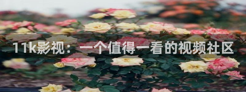 星空影院电视免费播放音乐