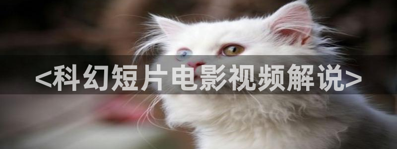 星空电影天堂