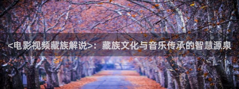 星空在线播放免费观看电视剧