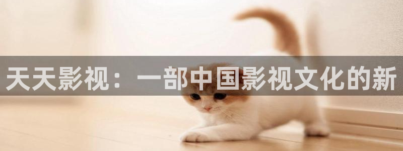 星空影视在线观看高清免费