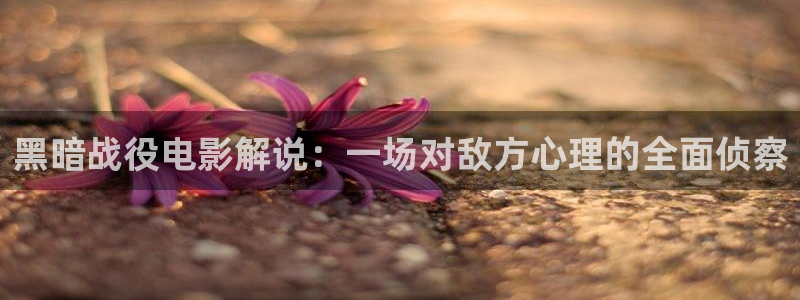 星空影院电视剧免费播放大全