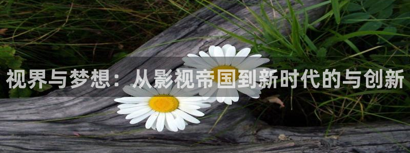 星空下的誓言电影