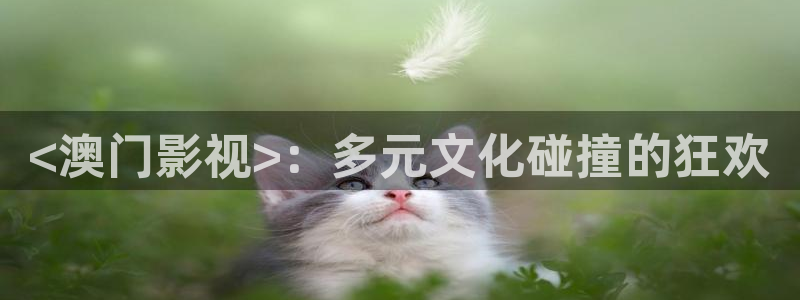 星空无限传媒免费高清观看