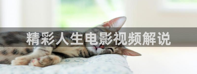 星空影院免费版