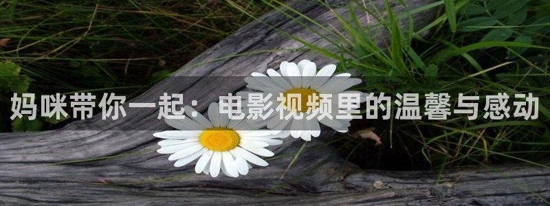 星空影视免费在线播放