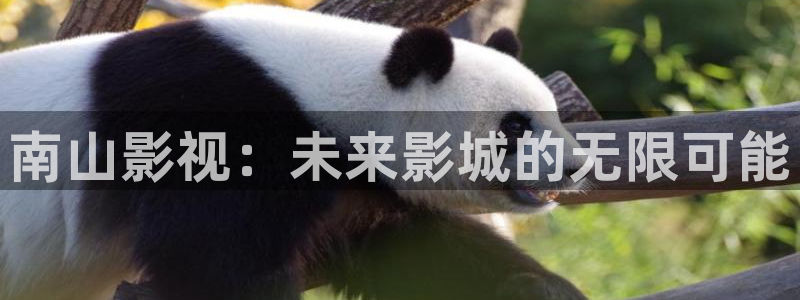 星空影院电影在线观看