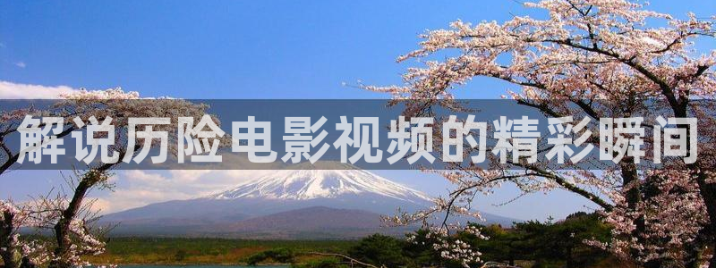 星空视频电影在线看免费