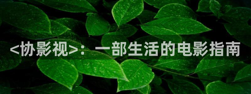 星空影院高清电视剧