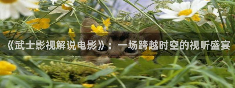 星空影视免费看电视剧大全
