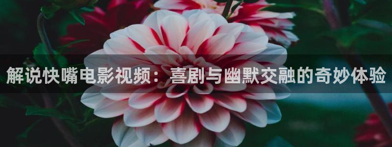 星空影视传媒免费观看